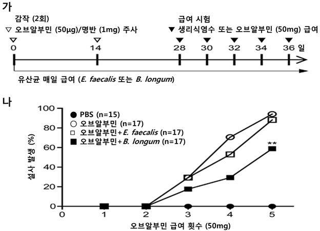 비피더스균 급여가 알레르기 유발 설사에 미치는 효과를 나타낸 그래프.