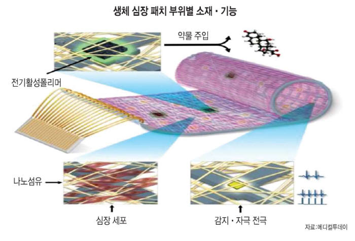 [이슈분석]디지털 의료, 이식을 넘어 재생으로