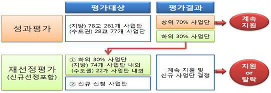 대학 특성화사업 중간평가 추진체계