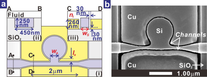 금속-유체-실리콘 기반 광공진기에 결합된 나노플라즈모닉 도파로 구조와 제작된 소자의 주사현미경 사진.