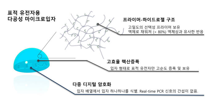 표적유전자용 다공성 표지입자의 구성도