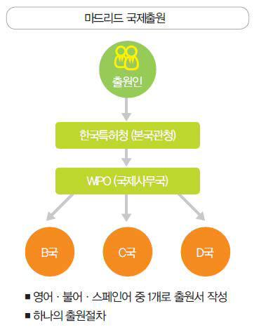 마드리드 국제출원 절차. /자료: 특허청