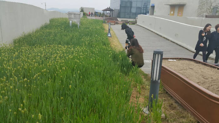 [세종만사(世宗萬事)]`뻥 뚫린` 정부서울청사, 세종청사도 보안 강화