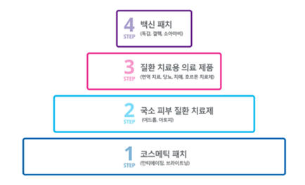 라파스 비전 로드맵