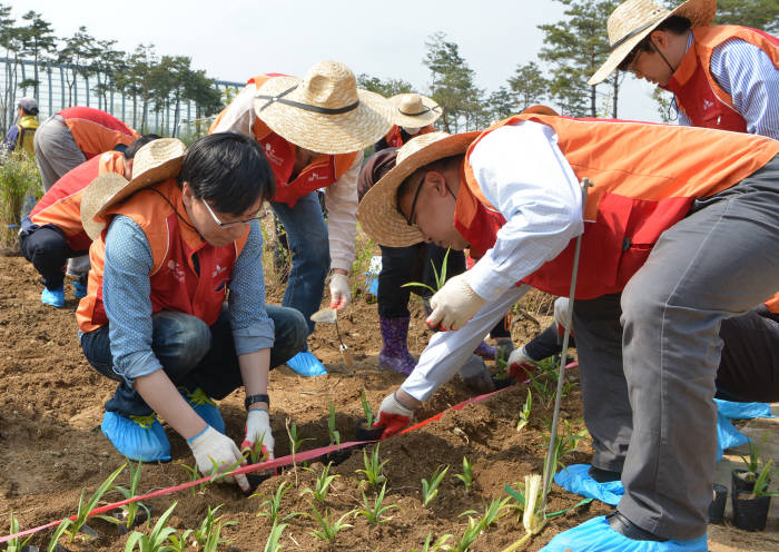 SK주식회사 직원들이 나무를 심고 있다.