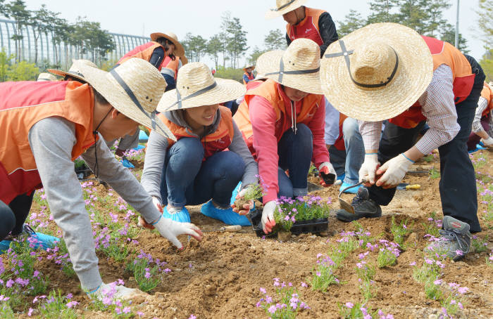 SK주식회사 직원들이 꽃을 심고 있다.