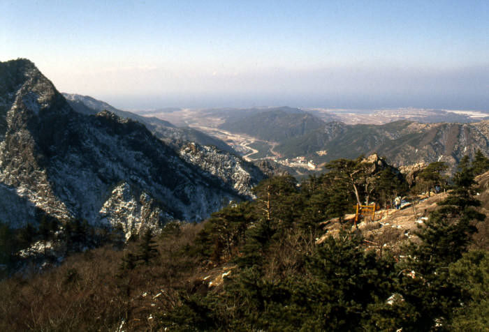 산림청, 산주 산림경영 확대해 소득 창출 돕는다...사유림 경영 활성화 대책 발표