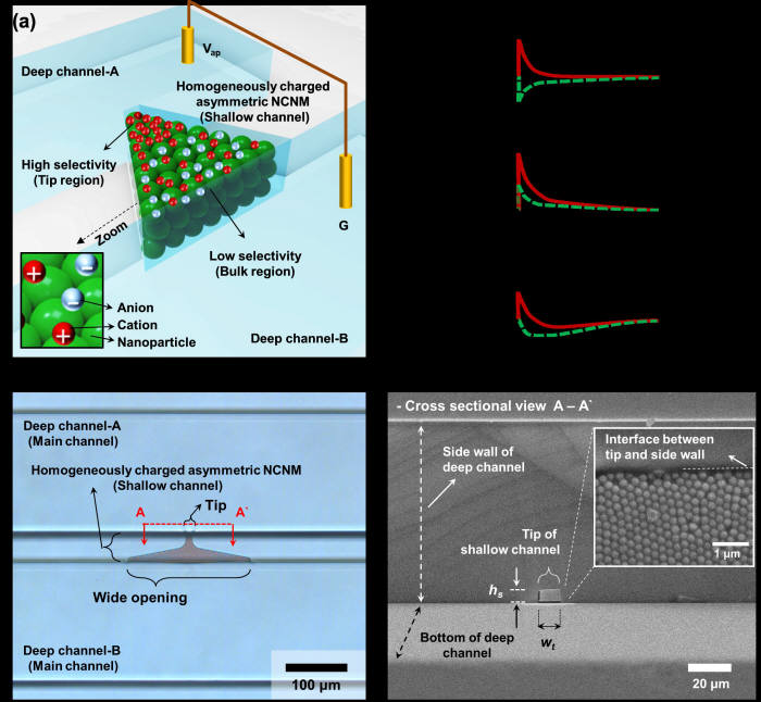 고용량 이온 다이오드
 (a) 비대칭 나노채널 네트워크 기반의 고용량 이온 다이오드의 개념도 (b) Equilibrium 상태에서의 비대칭적인 양/음이온 이온 농도분포 및 외부 전압을 인가했을 때의 순방향/역방향 이온 농도분포. 빨간색 선은 양이온의 분포를 녹색점선은 음이온의 분포를 나타낸다. 만일 내부로의 이온흐름이 바깥방향 보다 크면 이온들이 나노채널 네트워크 안에 축적되어 이온흐름이 발생하고, 반대로 바깥방향으로의 이온흐름이 크면 나노채널 네트워크안의 이온분포가 희석되어 결국 이온흐름이 막히게 된다. (c) 제작된 다이오드의 현미경 사진 및 (d) 전자 현미경 사진