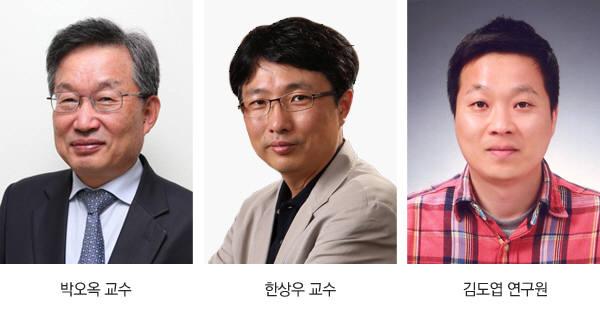 KAIST, 팔 14개 달린 금 나노입자 개발