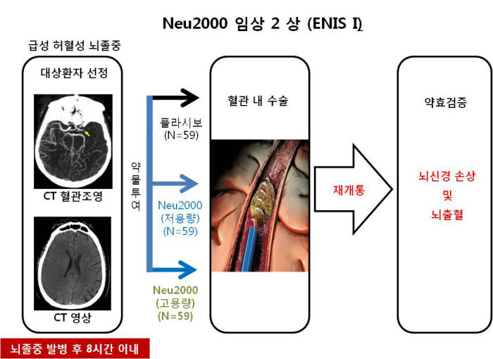 Neu2000 임상 2상 과정