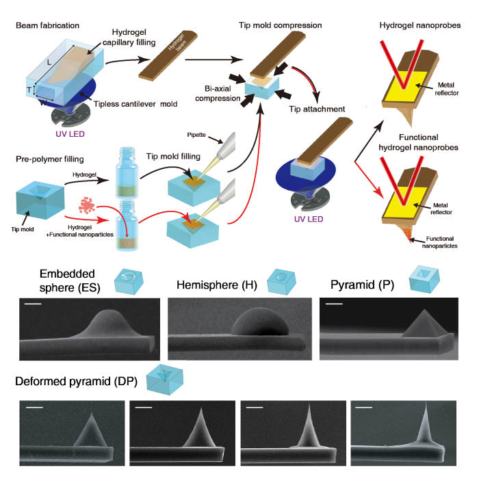 하이드로젤 원자현미경 캔틸레버 제작방법(상), 제작된 다양한 탐침 형상을 갖는 하이드로젤 원자현미경 캔틸레버(하) 폴리디메틸실록산으로 제작된 채널내부에 광경화가 가능한 하이드로젤을 주입하고 자외선을 노광시키면 채널형상과 동일한 하이드로젤 캔틸레버가 제작된다. 또 다른 음각 탐침모양의 폴리디메틸실록산 몰드에 제작된 하이드로젤 캔틸레버를 접촉시켜 탐침을 추가적으로 부착한다. 이 때 몰드의 모양에 따라서 매립된 구형, 구형, 피라미드형, 압축된 피라미드형과 같은 다양한 형태의 탐침을 부착할 수 있다. 또한 하이드로젤에 다양한 기능성 입자를 섞어 제작할 경우 탐침에 기능성을 부여할 수 있다.