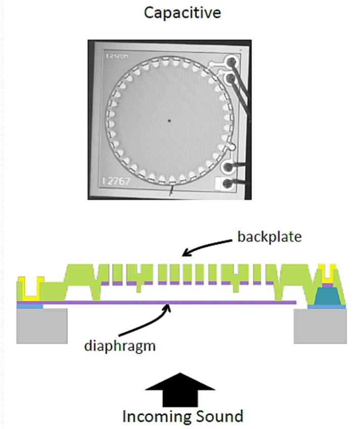 MEMS마이크로폰 구조도