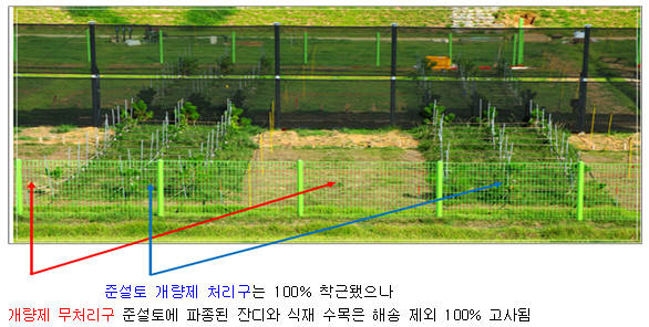 시험 1년차 진행과정.