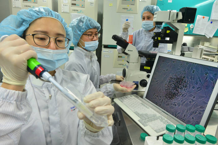 보건복지부의 체세포복제배아 연구 승인으로 배아줄기세포 연구가 본격화될 전망이다. 11일 차바이오컴플렉스 연구팀이 체세포복제배아를 이용한 세포 증식을 확인하고 있다. 윤성혁기자 shyoon@etnews.com