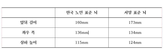 한국 노인과 서양 표준 뇌 크기 비교