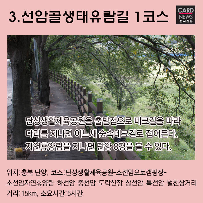 [카드뉴스]8월 휴가철…숨겨진 걷기 좋은 숲길 10선