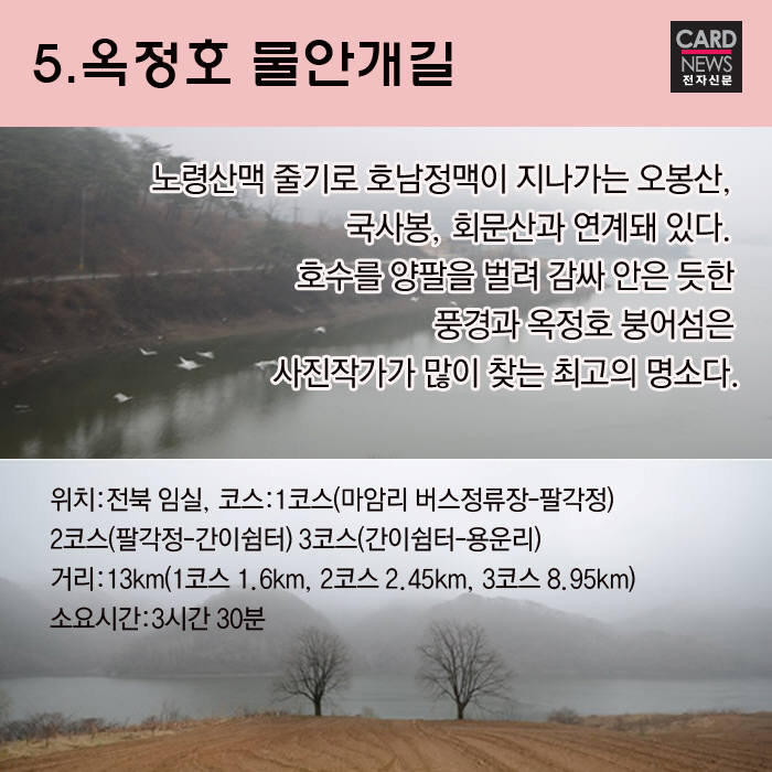 [카드뉴스]8월 휴가철…숨겨진 걷기 좋은 숲길 10선