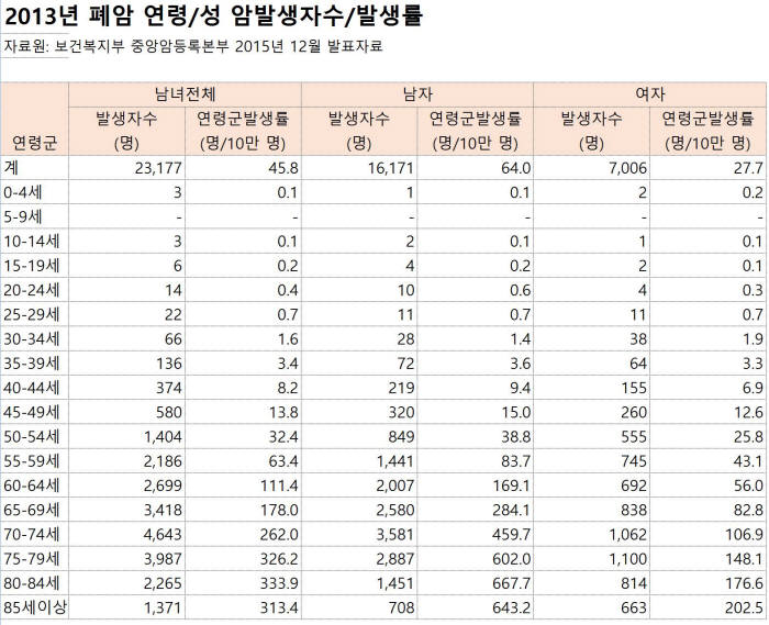 2013년 폐암 발병 현황