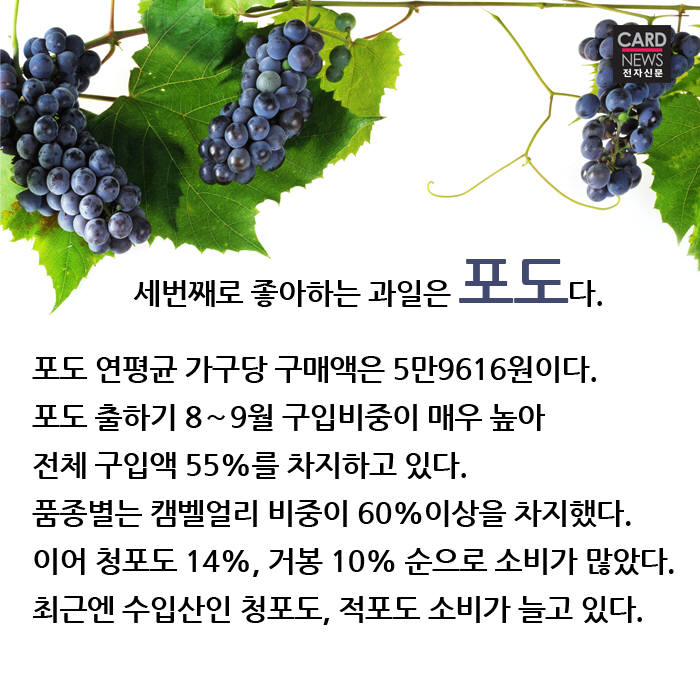[카드뉴스]한국인이 즐겨먹는 과일 중 소비가 늘어난 것은?
