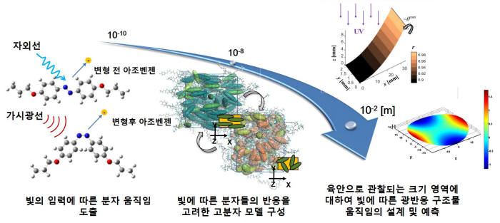 광반응 변형구조체의 멀티스케일 해석 개요도
 빛에 반응하는 고분자소재의 반응 부분의 비율을 10-10 m 스케일에서 예측한다. 예측된 반응 비율로부터 광반응 구조체의 미세구조를 10-8 m 스케일에서 도출한다. 미세구조에서 얻어진 변형을 이용하여 육안으로 관찰되는 10-2 m 스케일에서 실제 광반응 양상을 해석한다.