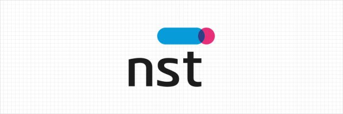 국가과학기술연구회(NST)