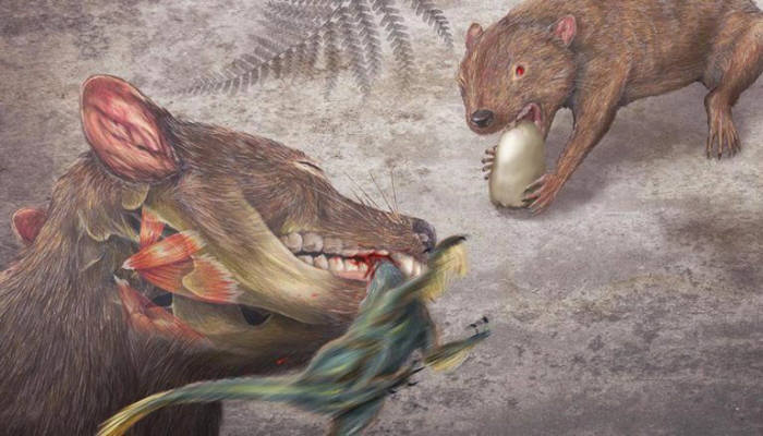 디델포돈이 공룡을 사냥하는 모습 <출처:라이브사이언스>