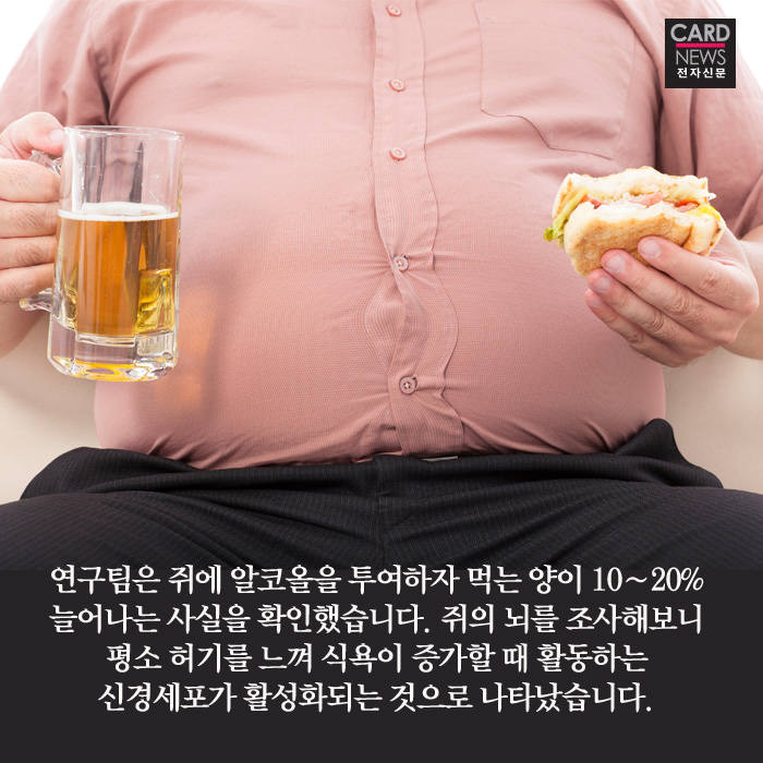 [카드뉴스]술을 마시면 왜 자꾸 라면이 끌리지?