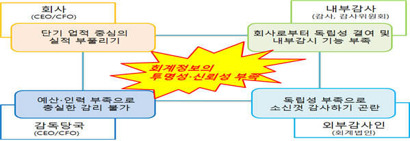 현행 감사제도의 문제점
 자료:금융위, 금감원