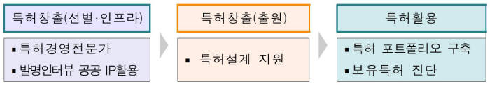 `2017년 지식재산 창출·활용 역량 강화사업`의 통합지원형 사업 과정 / 자료:특허청