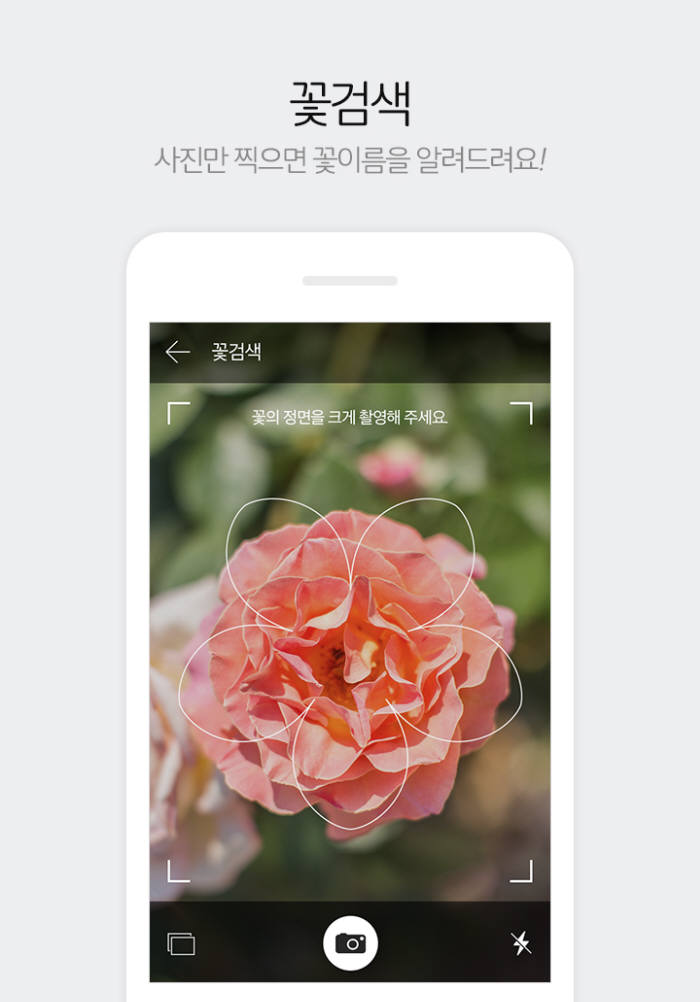 카카오의 꽃검색 서비스 화면. 다음 달부터는 국립공원 야생화 정보도 만날 수 있다.