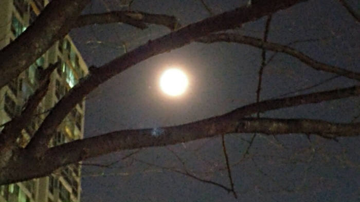 [기자의 일상]보름달과의 대화