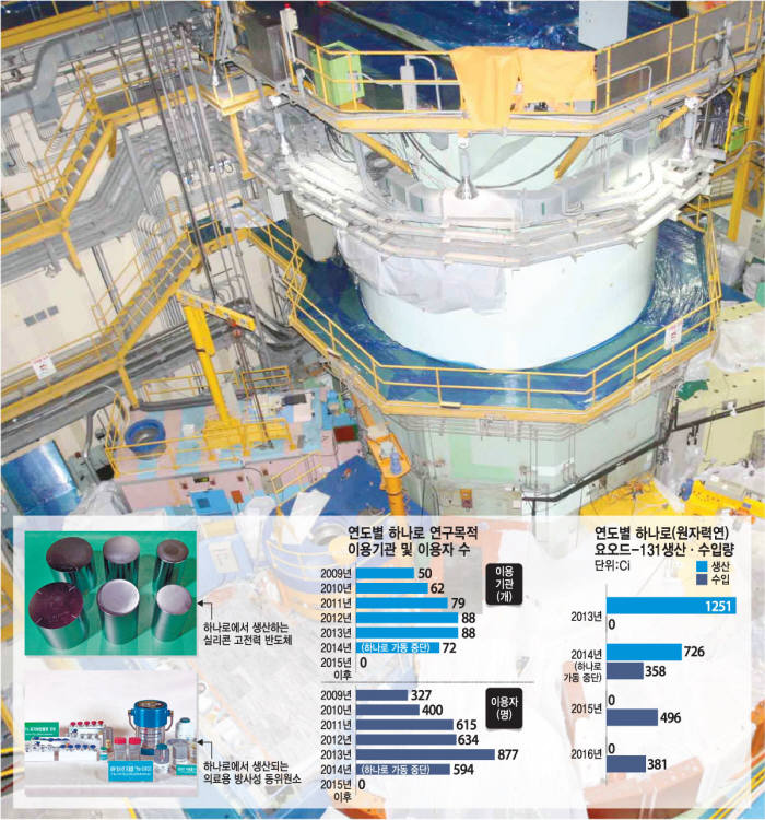 [이슈분석] 하나로 가동중지 2년 7개월... R&D, 산업재료 수급 막대한 차질