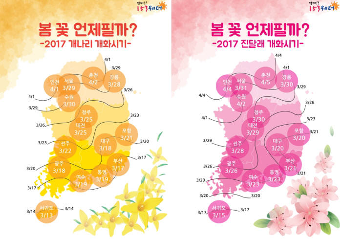 올해 개나리·진달래 평년보다 1~3일 빠르고 작년보다 1~2일 늦게 필듯