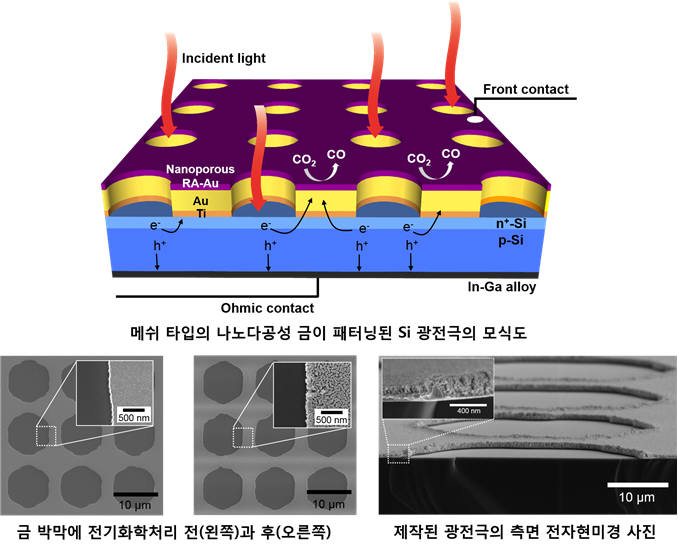 다공성 금 나노 박막이 증착된 실리콘 광전극