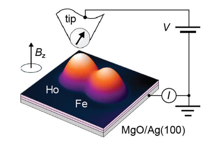 주사터널현미경 미세탐침과 홀뮴, 철원자 구조. 미세탐침으로 전압펄스를 가하면홀뮴 원자의자성을 바꿀 수 있고, 전류로 스핀을 읽을 수 있다.