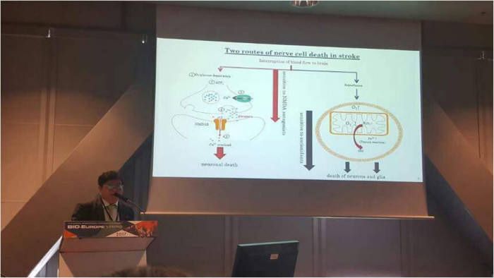20일부터 22일까지 스페인 바로셀로나에서 열린 '제11회 2017 바이오유럽'에서 곽병주 대표가 뇌졸중 치료제 Neu2000 임상 성과와 차별점을 설명했다.