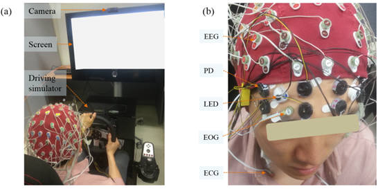운전 중 뇌파 및 뇌혈역학 신호 측정을 위한 실험(왼쪽)과 뇌파 측정을 위한 전극과 뇌혈역학 신호 측정을 위한 LED 및 광다이오드가 부착된 모습.