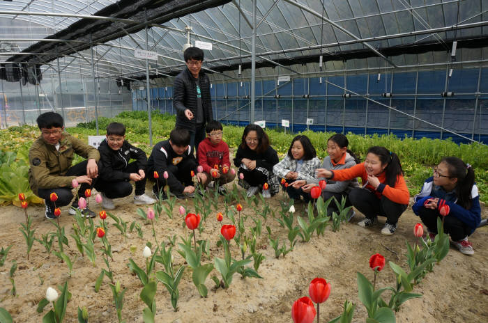 황기원 임자초등학교 교사와 6학년 학생들이 스마트팜에서 기른 튤립을 관찰하고 있다.