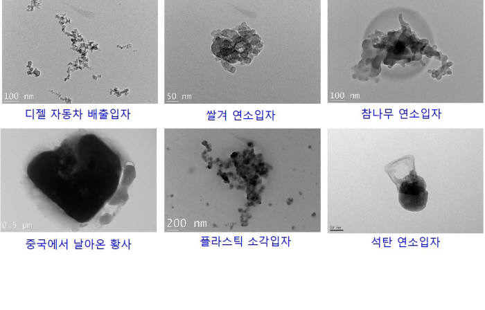 각종 입자 확대 모음