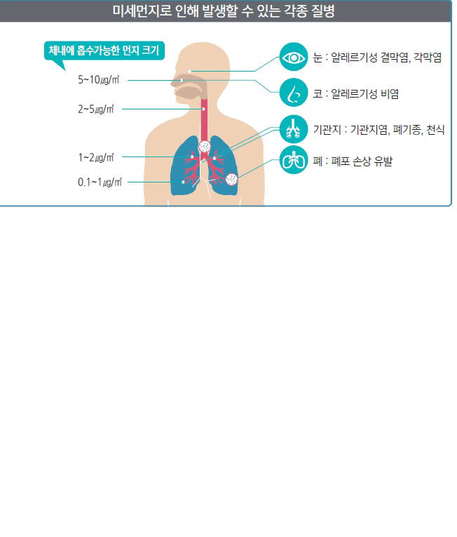 미세먼지로 인한 질병(질병관리본부)