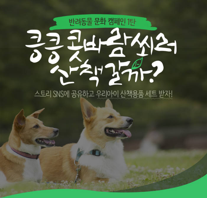 인터파크는 반려동물 전문몰 '인터파크 펫' 모바일 앱을 통해 반려동물 관련한 올바른 문화 정착을 위한 캠페인에 나섰다. 사진=인터파크 제공