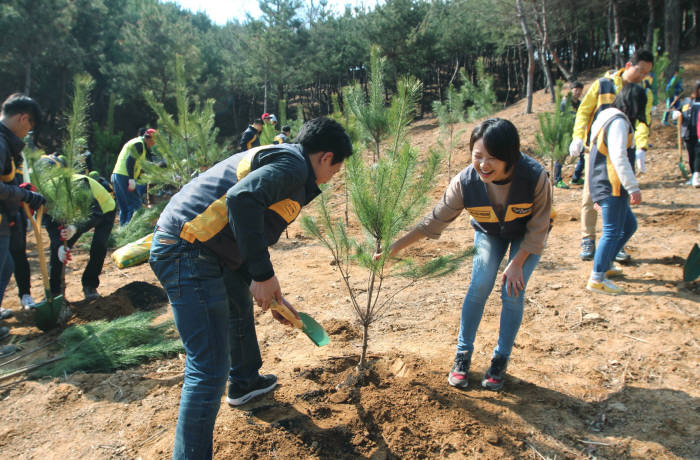 KB국민은행, 조선왕릉 소나무심기 봉사활동