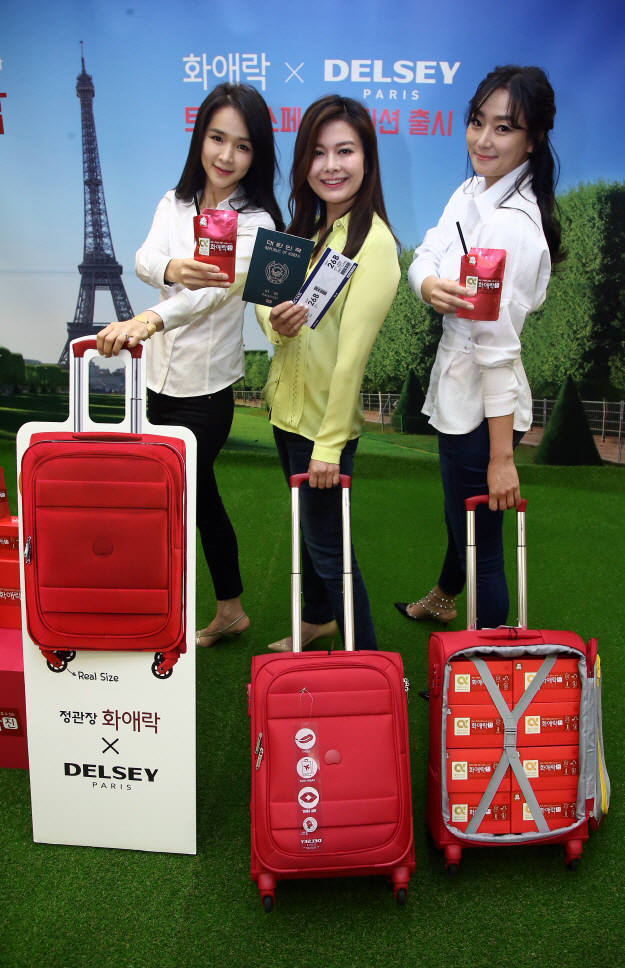 사진=정관장 화애락 제공