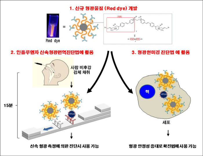 원광대 인수공통감염병연구센터의 신규 형광 소재 개발 연구 모식도