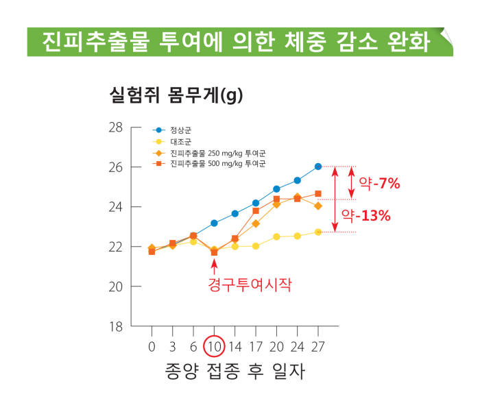 WCUP 투여에 의한 암 질환 체중감소 완화 효과