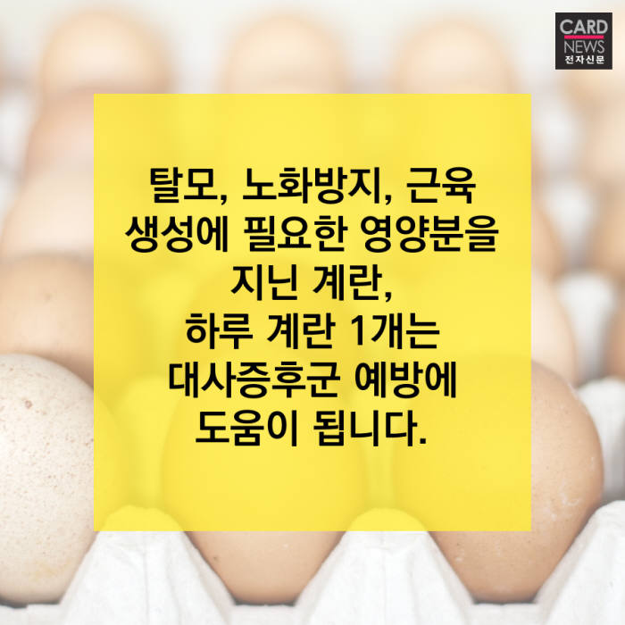 [카드뉴스]하루 계란 1개로 건강 지키세요