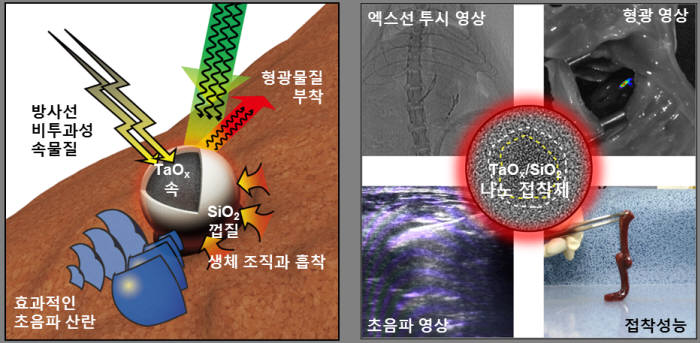 조영 및 접착효과를 갖는 나노 접착제 구조와 성질.