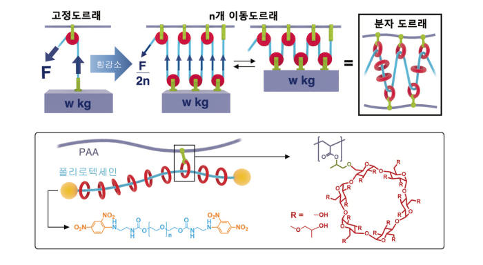 분자도르래 적용 이차전지 고용량전극 수명 향상 원리