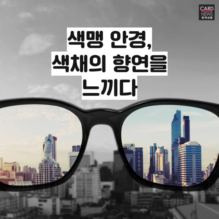 [카드뉴스]'색맹 안경'의 비밀