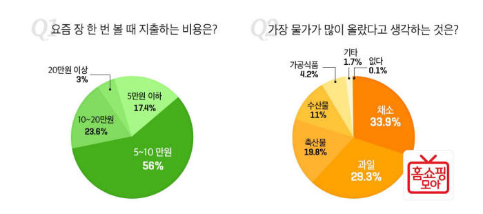 홈쇼핑모아 "3040女 25%, 장 한 번에 최대 20만 원 지출"